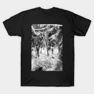 snowy Oregon forest T-Shirt